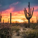 Bridget Stanley Avatar