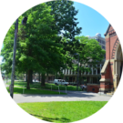 Heba Alwazzan Avatar