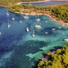 Millicent Brown Avatar